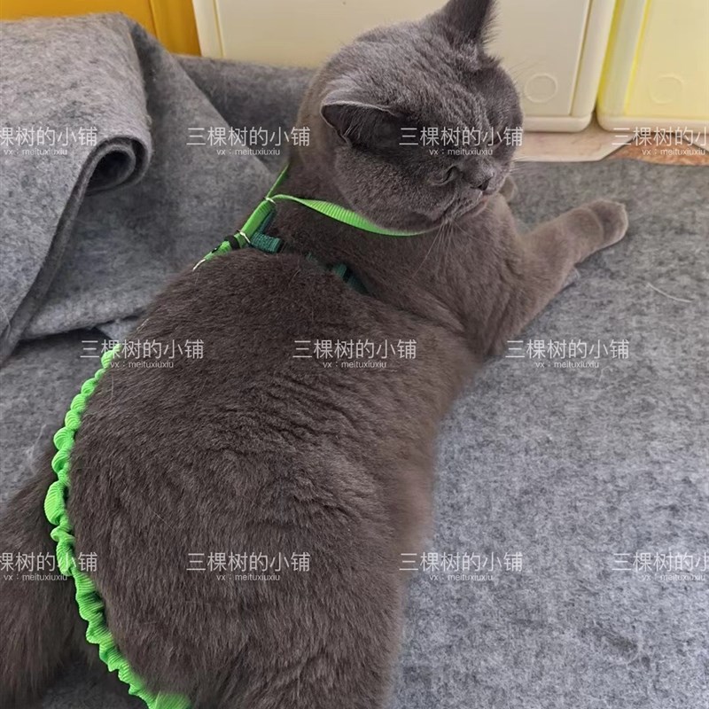 Petsafe现货正品贝安适猫咪牵A引绳遛猫绳猫外出Y工字牵引绳防爆