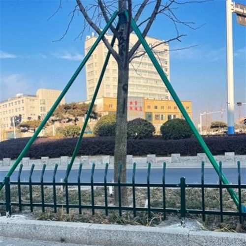 支架金属铁苗木钢管园林防风树木支撑架抱箍大树固定器绿化镀锌