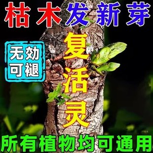 大树成活营养液死树复活生根剂壮苗再生果树枯树移栽苗神器复活灵