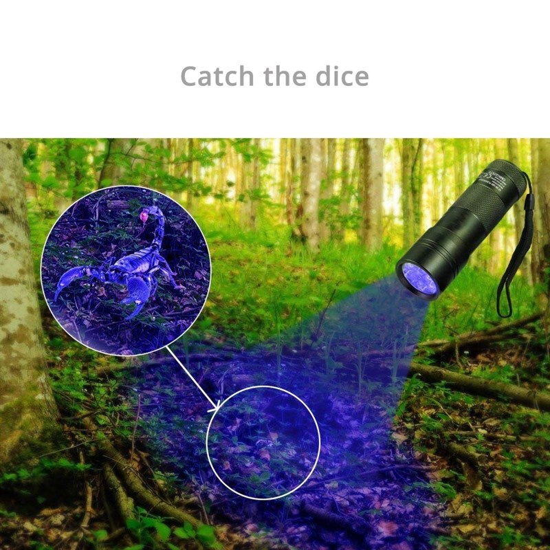 推荐UV Flashlight 12 LEDs 395 nm UV Detector Light for Dog