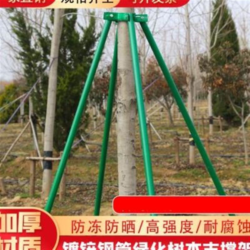 树木支撑架大树防风固定器树木支撑杆园林绿化树木支撑架,农用物资,苗木固定器/支撑器,淘宝优惠券,粉丝福利购,淘宝优惠卷