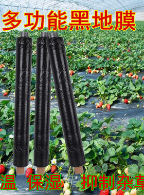 农用地膜黑膜除草膜白q膜果园防草膜保湿保温加厚塑料蔬菜膜草莓