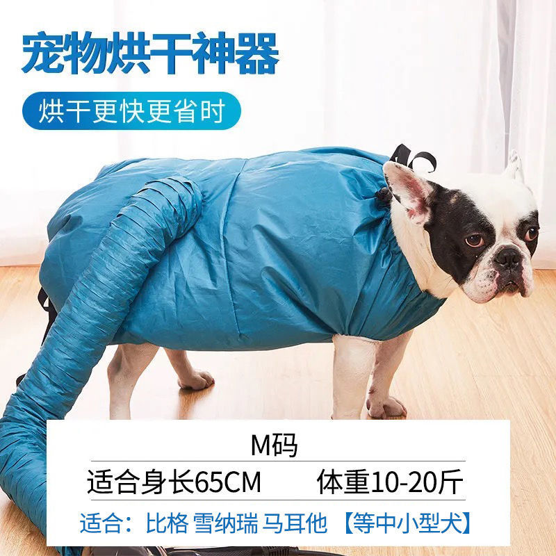 宠物烘干b袋吹毛神器狗狗猫咪金毛犬专用洗澡速干吹风机自动吹干