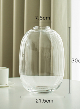 雪柳花瓶摆件客厅插花玻璃透明水养水培轻奢高马醉木感大