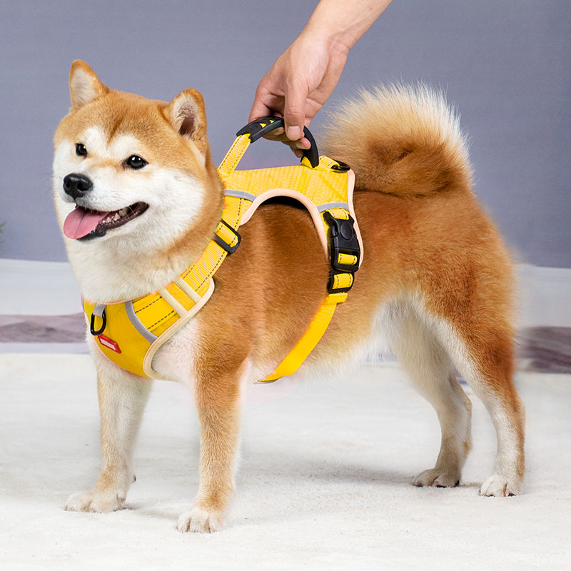 速发狗狗牵引绳遛狗链子柴犬泰迪柯基背心式胸背带中小型犬防爆冲