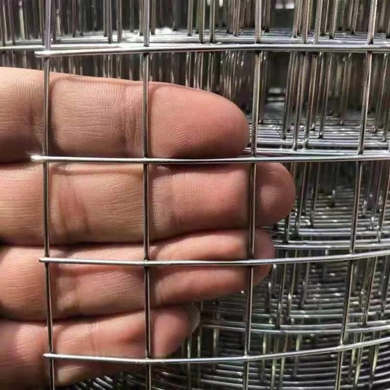 厂镀锌铁丝电焊网片小孔养殖围栏钢丝网养鸡狗笼兔笼加粗建筑铁网