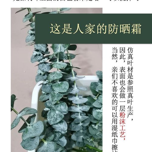 2U8K粉紫蓝胸花手腕花s玫瑰马蹄莲郁金香仿真花结婚摄影胸件服装