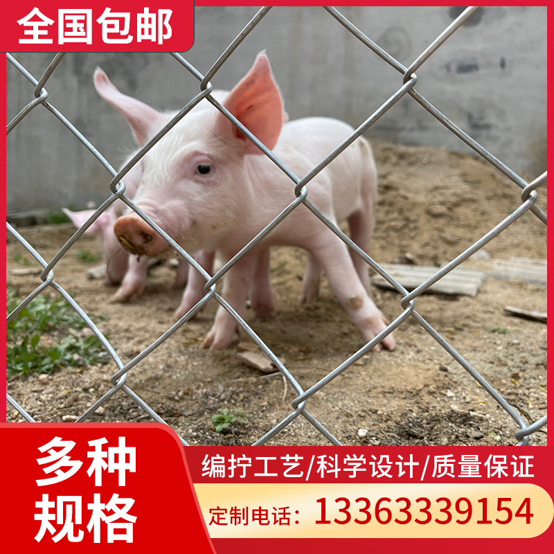 圈猪用菱形网格勾花隔离养殖网镀锌钢丝围栏网铁丝围栏防护隔离网