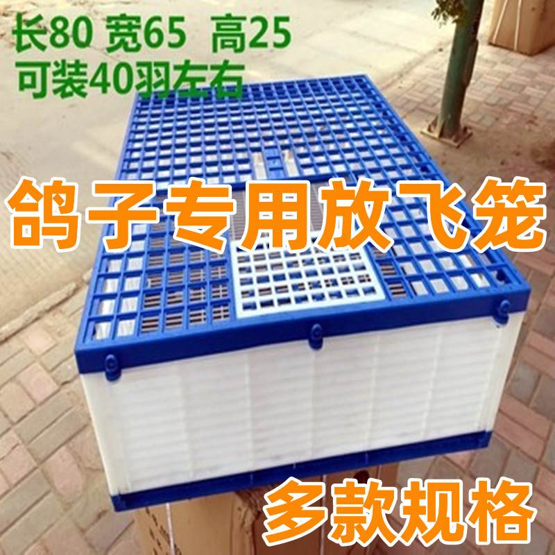 现货高端信鸽报道笼鸽子放飞集训放笼塑料鸽具鸟赛鸽W航空运输折