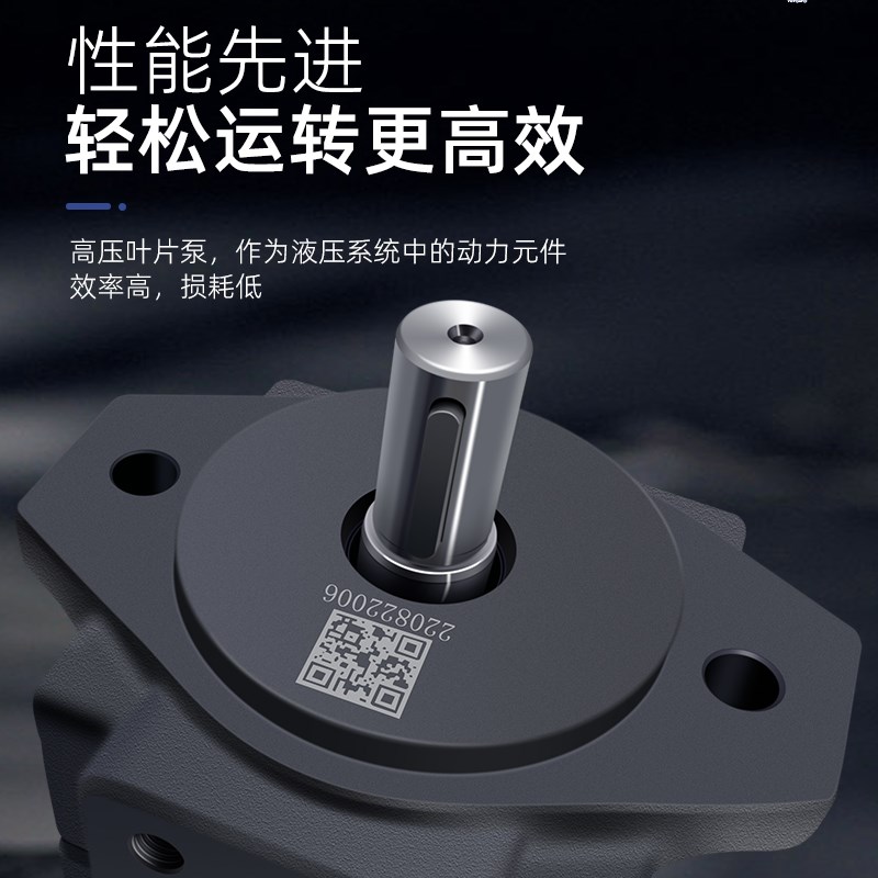 浙江YLC仙居永灵液压PV2R1-10-F1/4/17/19/23/25/28/31定量叶片泵