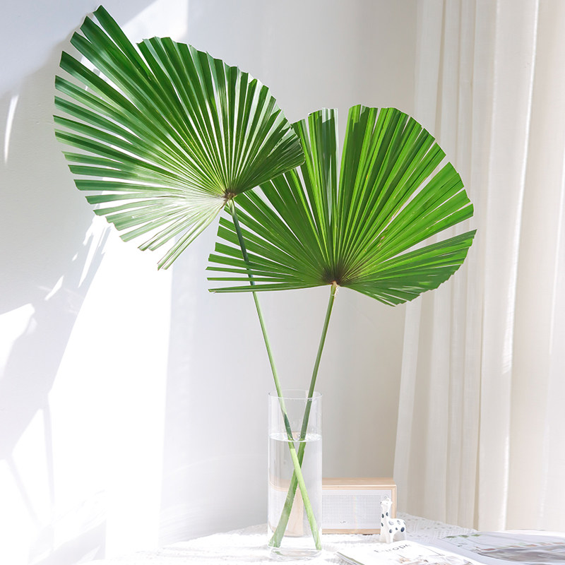 棕榈叶材鲜切花叶中式插花u家庭可做干花植物云南直发造型自己修
