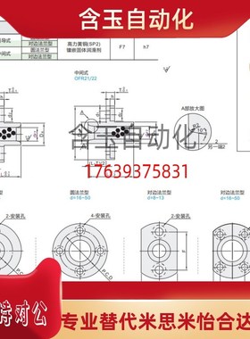 无油衬套引导式法兰型OFR11/OFR21-d40-d50-L50-L60-L70-L80-L100