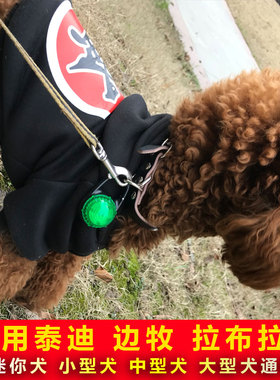狗狗夜间防走失遛狗m灯泰迪led防丢夜光铃铛狗牌宠物项圈发光吊坠