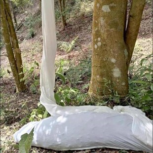 打八角专用袋摘的布袋神器长条子帆布圆桶直筒通采收加厚滑坡高处