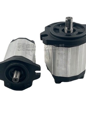 博顿液压泵Boden齿轮泵BKP0.5 BKP1 BAP1B0 BHP2 BAP2 BAP1A0油泵