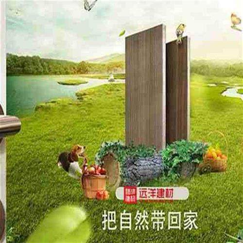 杉木芯E0实木免漆家具板材柜体板护墙板榻榻米生态板木工板大芯板