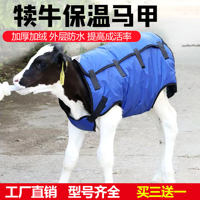 热销牛犊马甲小牛防寒衣犊牛保暖马甲外套加绒加厚牛犊子衣服保暖