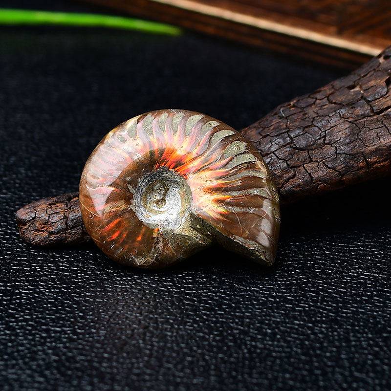 天然斑彩螺贝壳原石摆件海螺玉化石矿石标本diy男女款吊坠挂