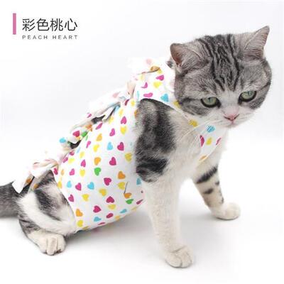 咬断舔服公防防手术服猫术后猫宠物服绝育母狗狗猫E猫咪服术后奶