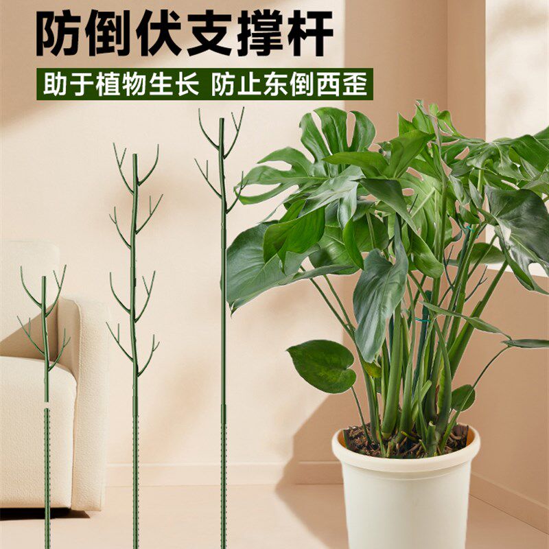 花架支撑杆龟背竹支撑架老桩月季植物爬藤M防倒伏固定园艺造型支图片