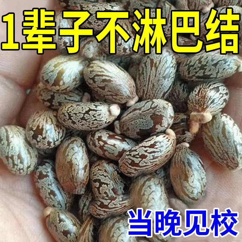 热销淋巴散结膏 消耳后肿大收副乳去结节腋下颈部贴膏神器消除膏Y