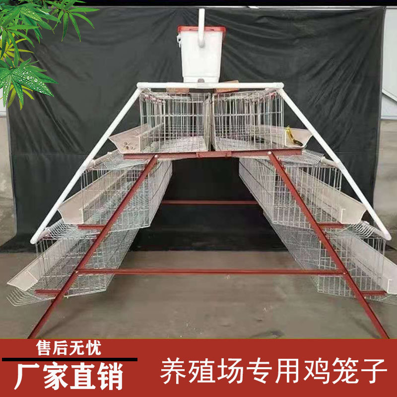 养鸡场专用鸡笼农村养鸡笼蛋鸡养殖笼家庭养鸡笼R家用自动滚蛋鸡