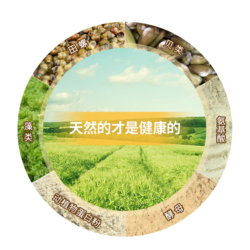 现货老鬼饵料螺鲤123r#号浓腥味红虫鲤鱼饵黑坑钓鱼饵料野钓配方