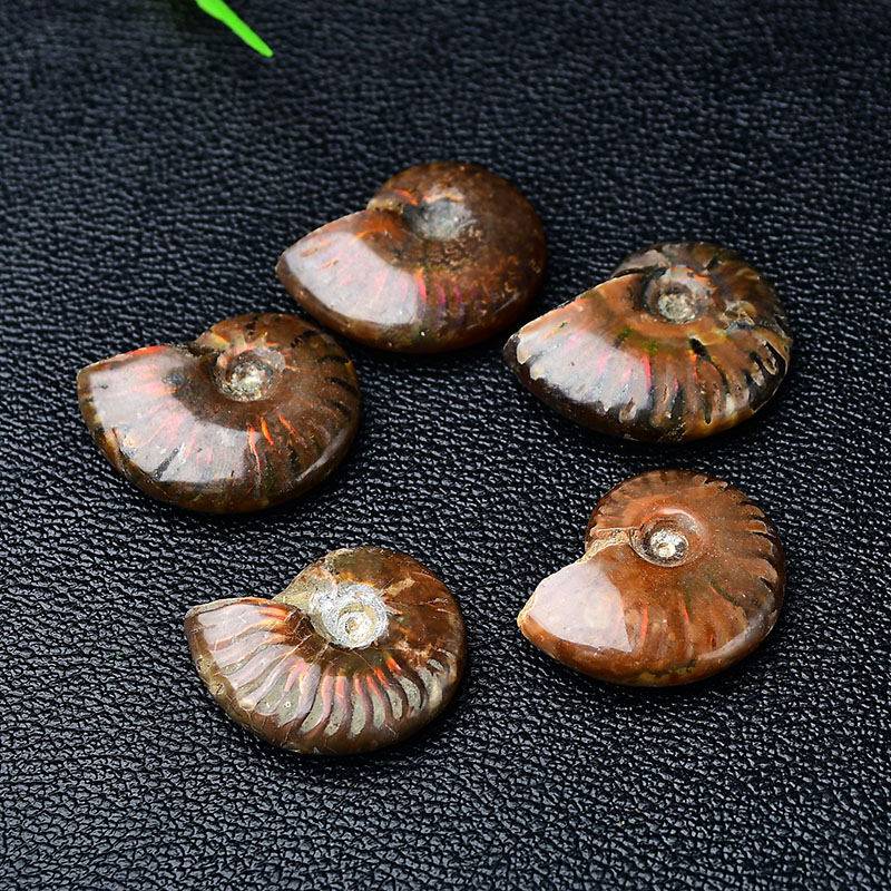 新品天然斑彩螺贝壳原石摆件海螺玉化石矿石标本diy男女款吊坠挂