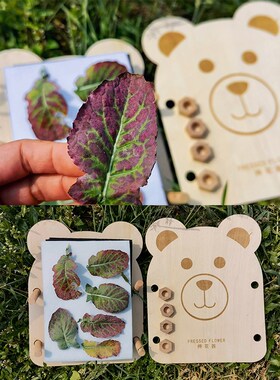 2022新款干花押花器压花板定制手工diy自制植物标本树叶儿童礼物