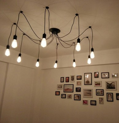 DIY Pendant lights Modern Retro Hanging Lamps Edison Bulb Fi