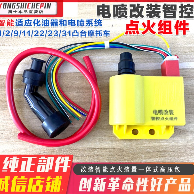 摩托车电喷改装点火器 电喷系统 化油器智能点火装置一体式高压包