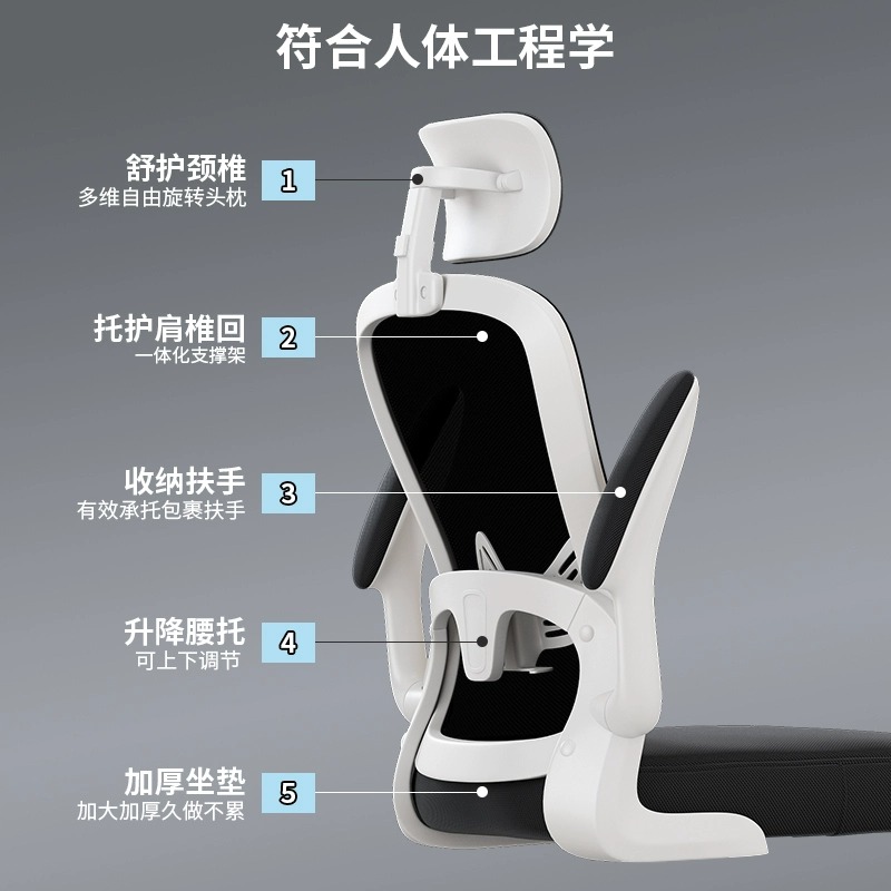 电脑椅家用办公椅舒适久坐弓形椅护腰学生学习椅电竞宿舍人体工学