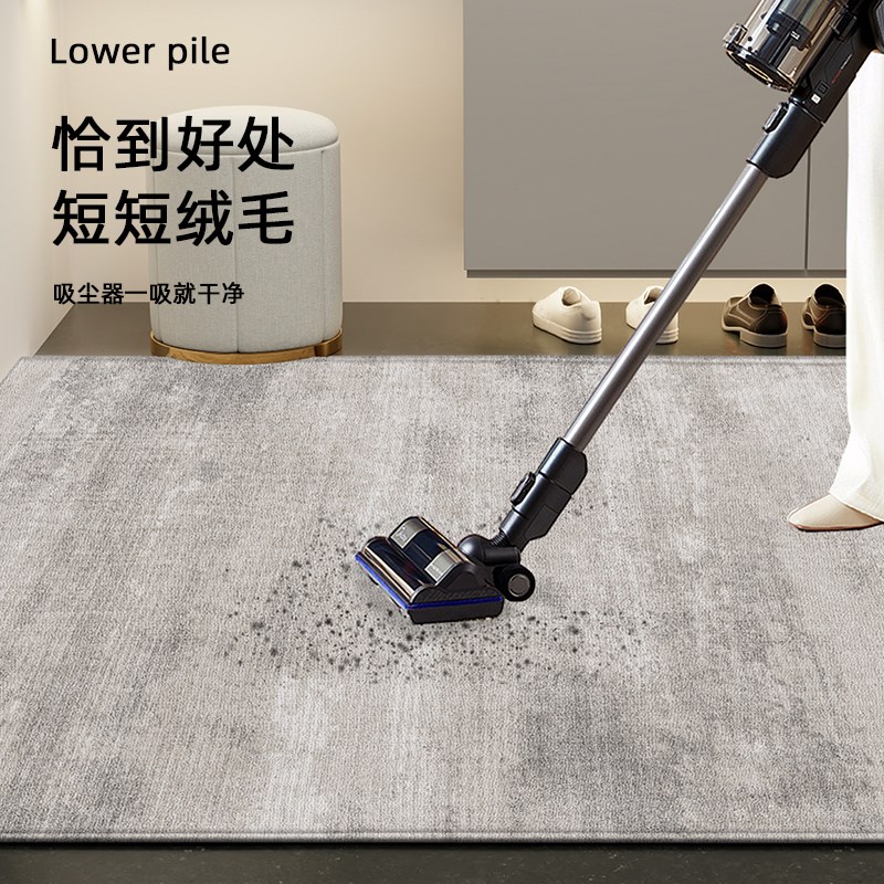 轻奢高级进门门口地垫可擦免洗入户门门口脚垫高级感地毯家用地垫