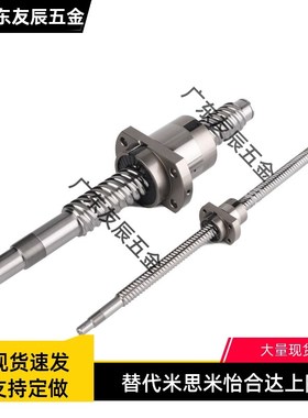滚珠丝杠BSWE/BTWE/BTWP0802 1002 1204 1510 1520 2010 2510 05