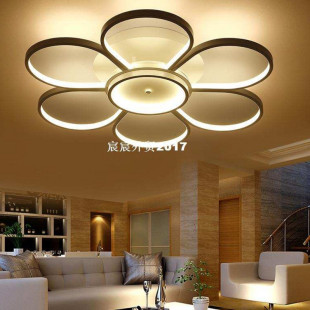 ceiling mounted lights led 速发surface room living light cei