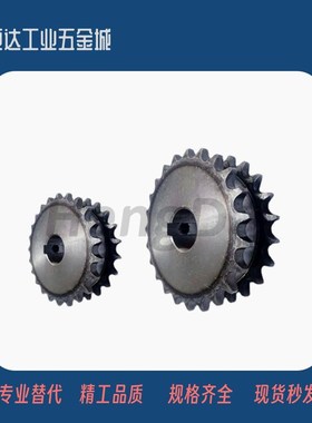 双排链轮 SP4f0SD18/SP40SD19/SP40SD20/SP40SD21-N/S-25/28/30/3