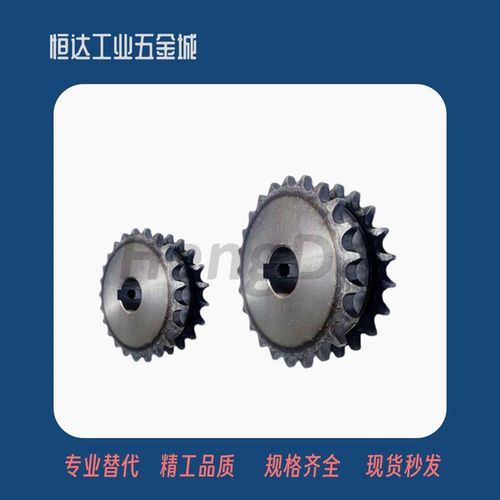 双排链轮 SP4f0SD18/SP40SD19/SP40SD20/SP40SD21-N/S-25/28/30/3