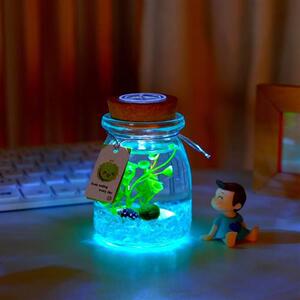 工厂销微观世界生态瓶diy材料包水族科学M小型制作材料微景观小学
