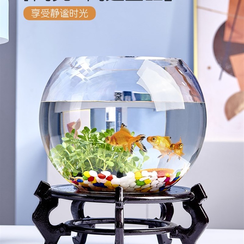 新品20b21玻璃简约桌面大号水仙花瓶睡莲铜钱草水培养鱼养花特大