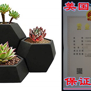 Modern Planter Succulent Cactus Ceramic Pot 推荐 Geometric