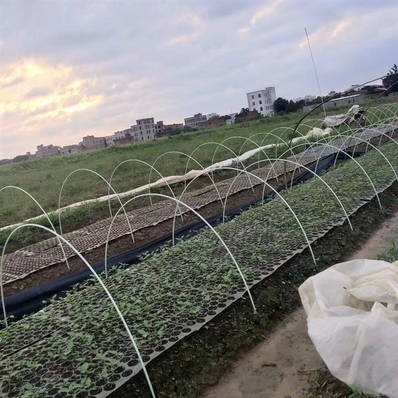 新型小拱棚支架育苗蔬菜大棚骨架实心玻璃钢纤维杆菜地秧苗拱杆子