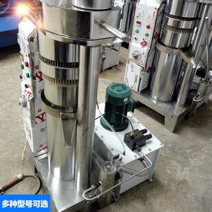 全自动韩国榨芝麻油机家用液压文冠果榨油机大型立式生榨茶籽机器
