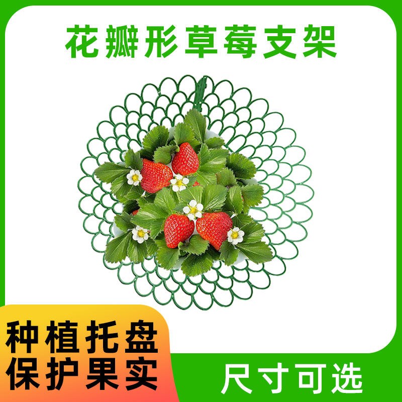 草莓支架草莓种植立体架托盘果实支撑架田园果实防烂绿植支撑架图片