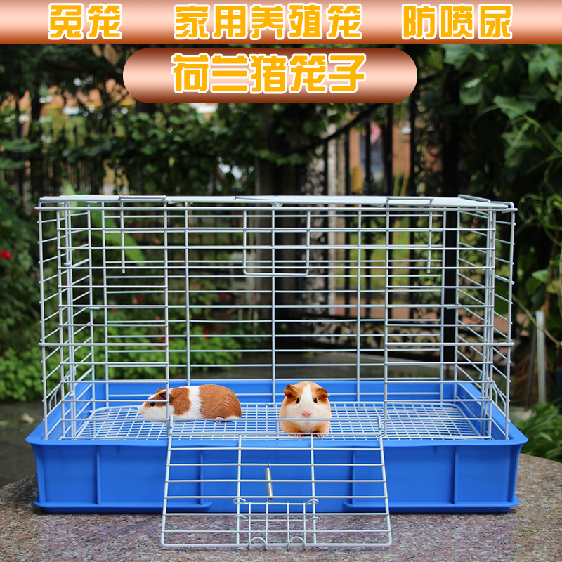 防喷尿兔笼兔子笼子特大号荷兰猪蝟豚H鼠养殖笼窝屋家用自动清粪