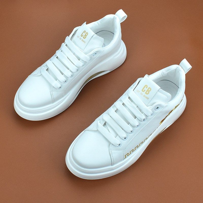 春秋季男鞋新款潮流透气板鞋低帮小白鞋百搭休闲皮面2025厚底韩版,流行男鞋,时尚休闲鞋,淘宝优惠券,粉丝福利购,淘宝优惠卷