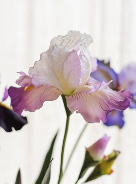 新品高档仿真花油画鸢尾花橱窗造景布置仿真蓝紫色爱丽Z丝假花绢