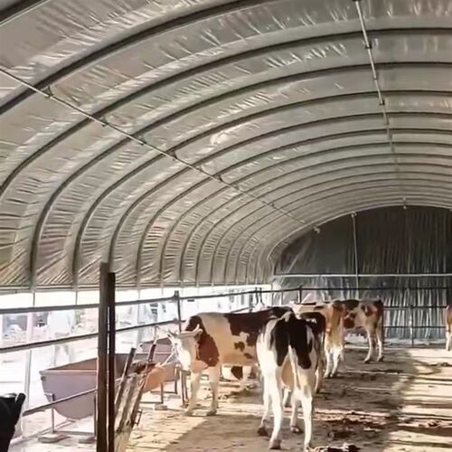 养殖大棚骨架钢管牛棚羊圈猪舍鹅兔养鸡场椭圆管温室蔬菜大棚厂家