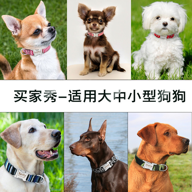 猫咪狗狗项圈脖圈刻字防丢吊牌小型大型犬牵引绳颈圈铃铛狗牌定制