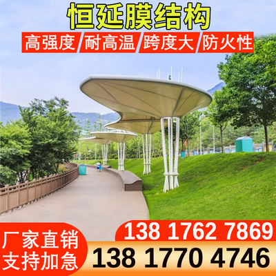 膜结构景观棚户外景区公园v遮阳棚防雨棚张拉膜汽车自行车电动车