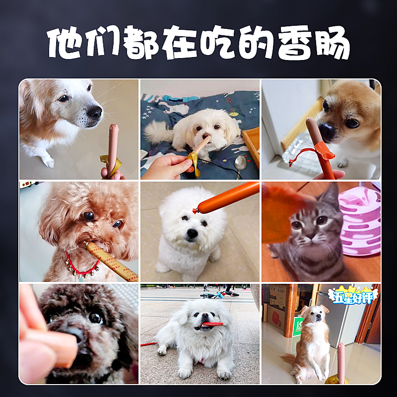 速发狗狗吃的香肠狗零食博美比熊专用幼犬2个月猫咪猫火腿肠宠物